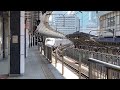 jr東日本 東北新幹線e2系やまびこ号@東京駅