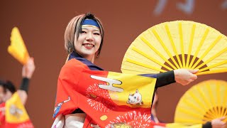 2024 富山のよさこい祭り 月光◎朝陽 県民会館ホール