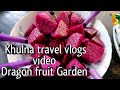 Khulna trouble vlog 8 video Dragon fruit garden (RAFAT THE VLOGS) 2021