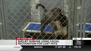 Shelby Humane Society using facial recognition for lost pets