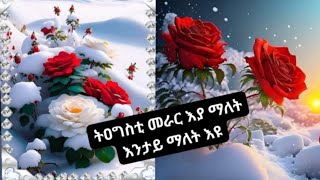 #ትዕግስቲ# #መራር# እያ ማለት እንታይ ማለት እዩ?