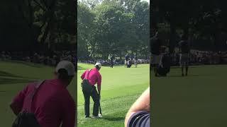 Tiger hitting from the fairway at the PGA Championship at Bellerive Country Club