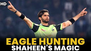 Eagle Hunting | Shaheen's Magic is on the Way | HBL PSL | ML2L