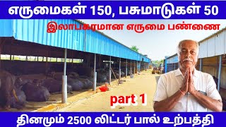 Top buffalo dairy farm in Bangalore/மிக பெரிய எருமை பண்ணை அதிக பால் உற்பத்தி நல்ல இலாபம்.