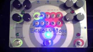 Pigtronix - Echolution -BEST OF-