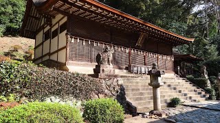 宇治散歩 宇治上神社へ