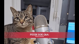 PESIN SOK Q\u0026A: KDAJ BO REVOLUCIJA?