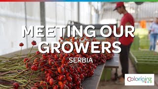 Coloríginz | Meeting our growers | Serbia