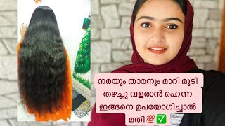 നരയും താരനും മാറി മുടി തഴച്ചു വളരാൻ ഹെന്ന ഇങ്ങനെ ഉപയോഗിച്ചാൽ മതി💯✅.henna for hair 💯 result