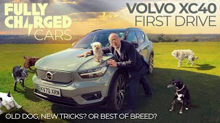The perfect EV for dogs? Volvo XC40 First Drive | Fully Charged CARS