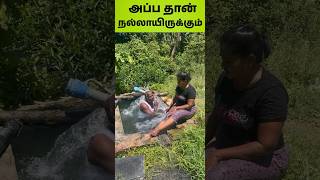 பம்பு செட்டில் இரண்டு சிட்டு குறிவிகள்