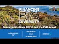 Financing Biodiversity: Commitments Since COP15 and the Path Ahead  (SP)