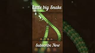 Littlebigsnake.io 🐍 | Little Big Snake Gameplay 💪 #technosapera #snake #games #littlebigsnakeio