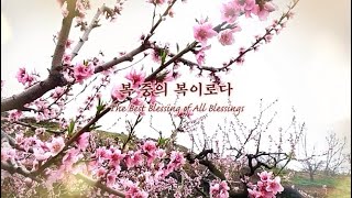 CCM,복음찬양) 복 중의 복이로다 [신경애목사님 작사.곡]