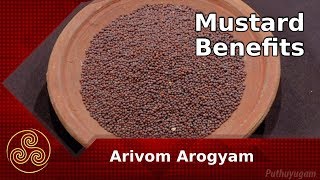 கடுகு - மருத்துவ பயன்கள் | Benefits Of Mustard Seeds | Arivom Arogyam | 03/08/2018