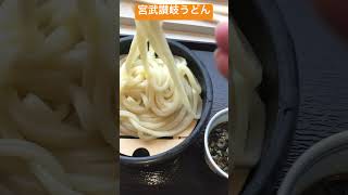 【300円】宮武讃岐うどん　初めての食感のうどん一回食べる価値あり　長い　#food #japan