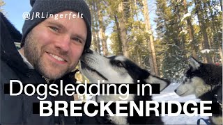 Dog Sledding in Breckenridge, Colorado - Travel Vlog 001