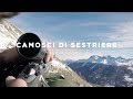 Camosci di Sestriere - Hunting Chamois