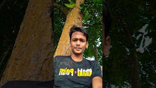 ন্যাকামি মাইরেন না #short #funny #short #funny