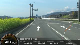 2020/4/12　飯山　国道１１７号線　菜の花