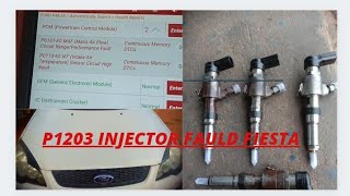 FORD FIGO/FIESTA INJECTOR  FAULD .PICKUP FAULD P1202.P1203.P1203  CODE