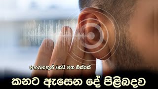 කනට ඇසෙන දේ පිළිබදව  Ven Rajagiriye Ariyagnana Thero