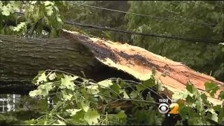 Storm Plows Through Ridgewood, N.J.; Knocks Down Trees And Cuts Power