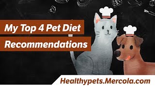 My Top 4 Pet Diet Recommendations