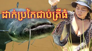 ដាក់ប្រកៃជាប់ត្រីធំ fishing coutryside