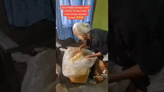 Kasihan banget si nenek,semoga nenek bisa dpt kehidupan yg lebih baguss,aamiin❤