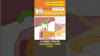 【膽囊的功能是什麼？】#膽結石 #膽囊功能 #手術 #手術善其事 #李勁樵醫師