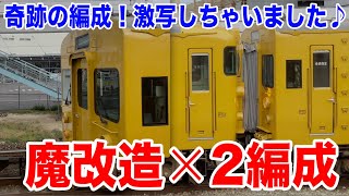 魔改造が2本連結！激レアな115系 平面顔2編成連結が止まってた♪ 【4K HDR 鉄道小ネタ】21-10