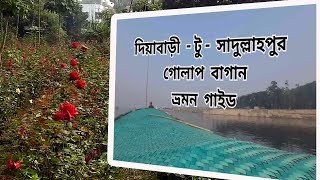 golap gram birulia savar/ সাদুল্লাপুর গোলাপ গ্রামের ভ্রমণ গাইড/ One Day Tour | বিরুলিয়া,সাভার I