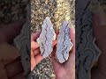 Lace agate cut open #shorts #geology #rockhounding #rocks