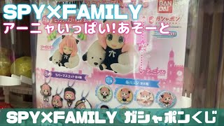 【SPY×FAMILY】全てアーニャ！？アーニャいっぱい!あそーとをA賞出るまで回してみたよ！【ガシャポンくじ】