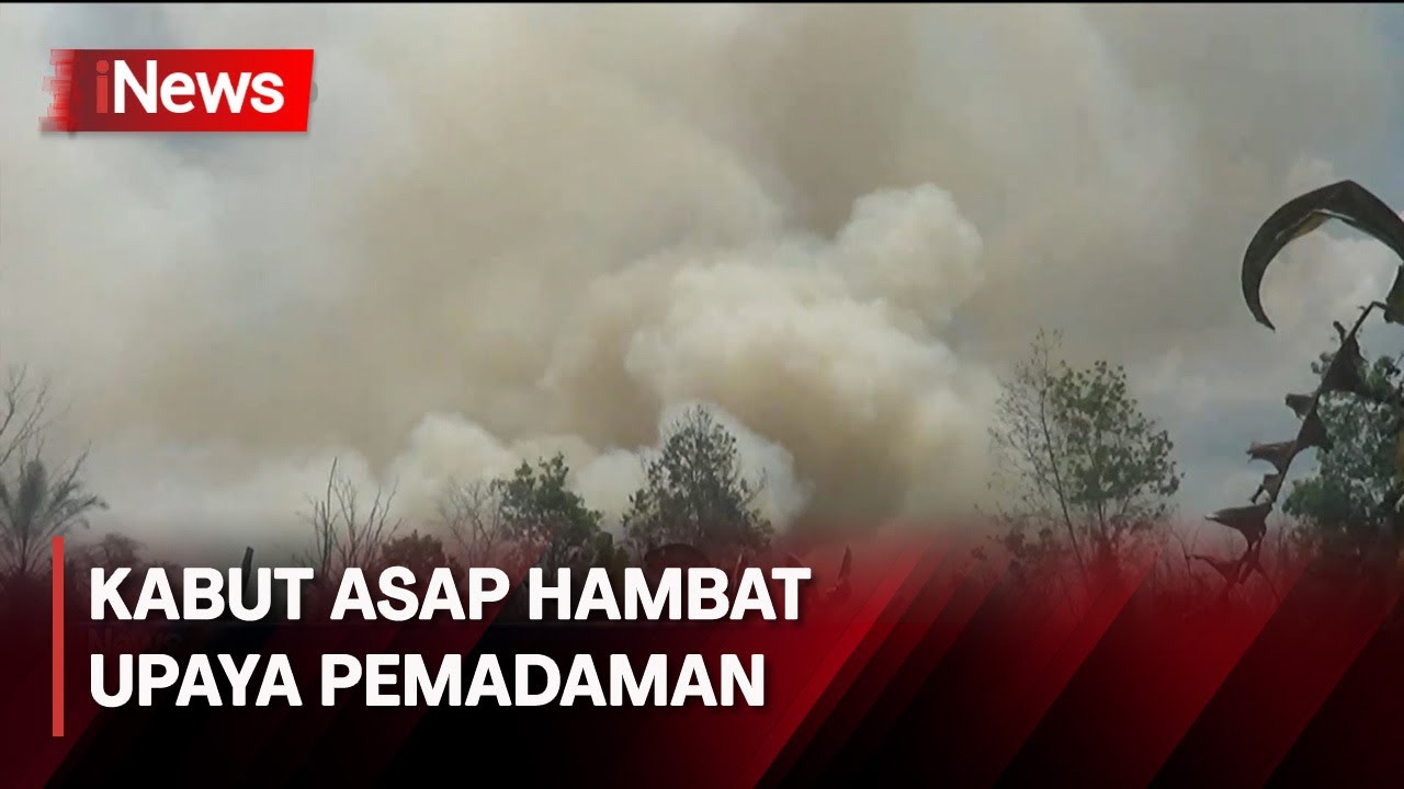 Cuaca Panas Ekstrem Lahan Gambut Di Palangkaraya Terbakar Youtube