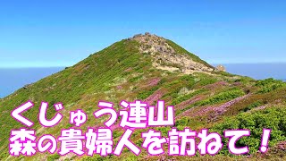 【登山】 くじゅう連山 森の貴婦人を訪ねて！