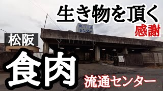 松阪食肉流通センター　生き物の命を頂く　三重県松阪市