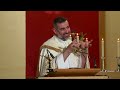 mary mother of mercy sermon by fr antonio ritaccio. a day with mary