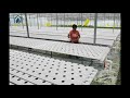 How To Clean NFT Trapezoid PVC troughs For Growing Lettuce