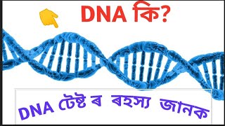 DNA Test কি? আমাৰ দেহত DNA কত পোৱা যায় চাওক।