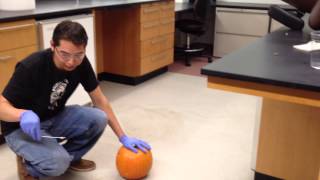 Cyert Lab exploding pumpkin test 1