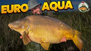 The Home Of The BIGGEST CARP IN THE WORLD! Euro Aqua Vlog