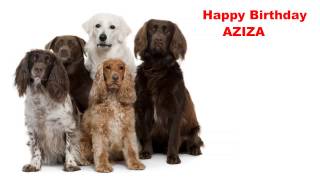 Aziza  Dogs Perros - Happy Birthday