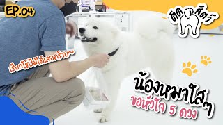 ติดสัตว์ EP.4 | ภารกิจติดงาน ! เปลี่ยนแคสเปอร์เป็นน้องหมาตามสั่ง ทำงานตามใจ อะไรก็ต้องยอม !