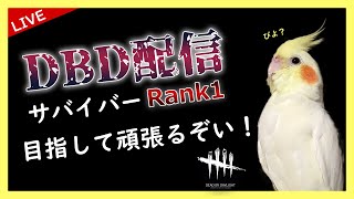 ひまちゃんねる  【DBD】【Dead by Daylight 】