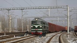 Over 200 Japan-made vehicles exported to Kazakhstan via freight train through China's Horgos