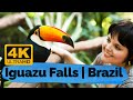 Iguazu Falls in Brazil 4K 🇧🇷