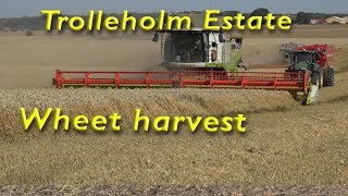 Trollenäs Estate Wheet Harvest