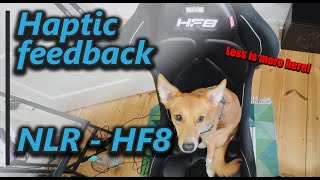 Plug and Play Haptic Feedback - Next Level Racing HF8 Test - Assetto Corsa Competizione